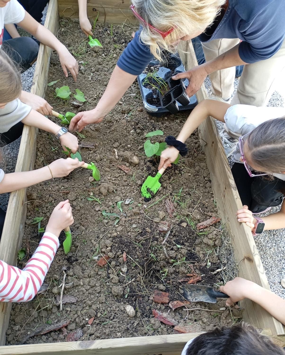 Dal Chicco di Grano ai Biscotti alla Fattoria Asino Gino