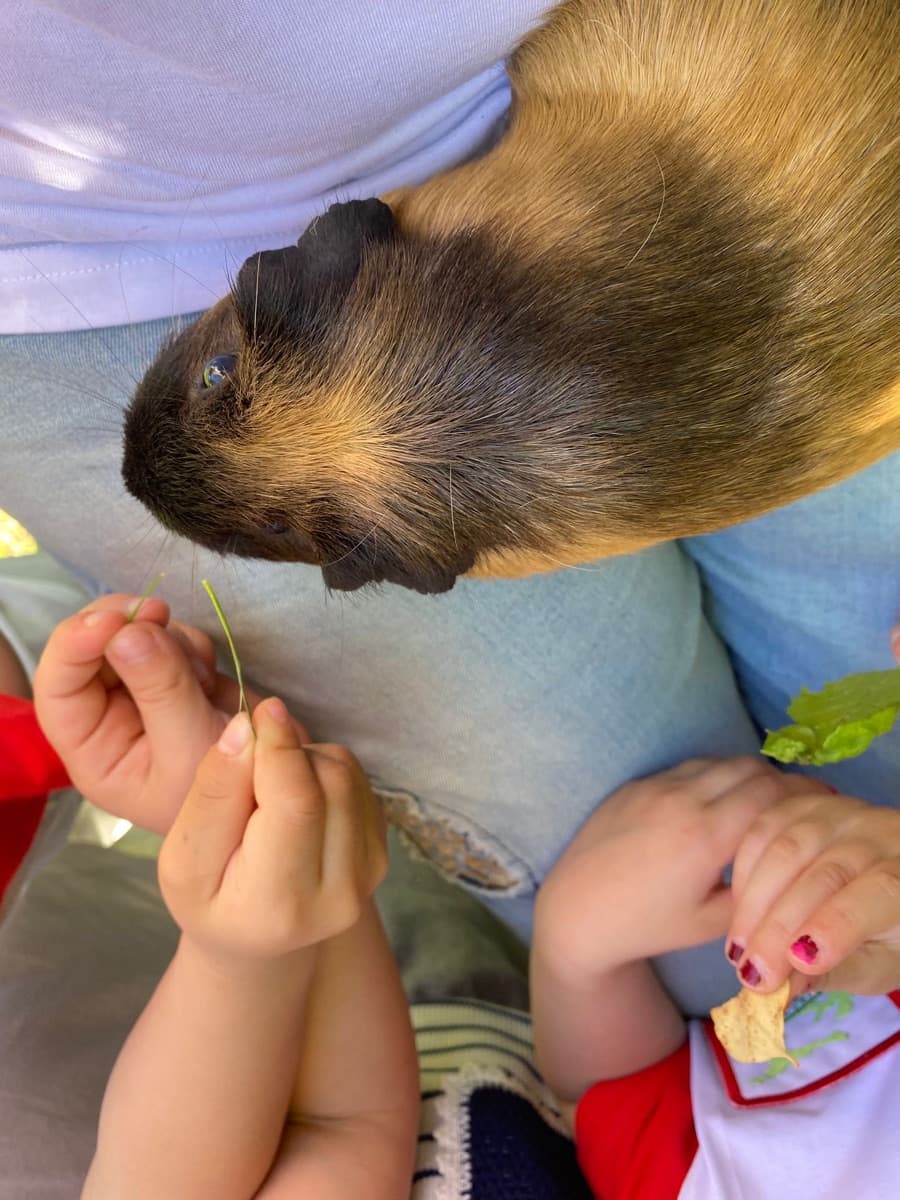Bimbo con la cavia