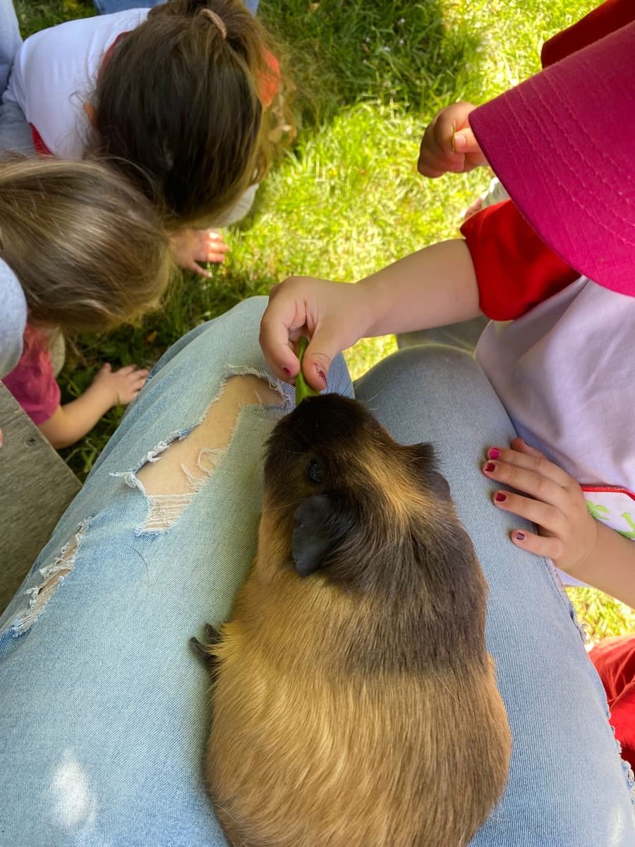 Bambini accarezzano le cavie